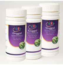 Guggul akciós csomag, 3 x 60 kapszula
