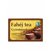 Dr.Chen fahéj tea gyömbérrel 20x2,2g 20x