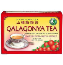 Dr.Chen galagonya gyümölcs tea filteres 20x