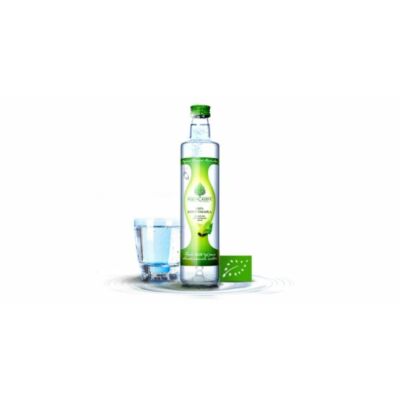 Natur Tanya®  Bio nyírfanedv 500 ml